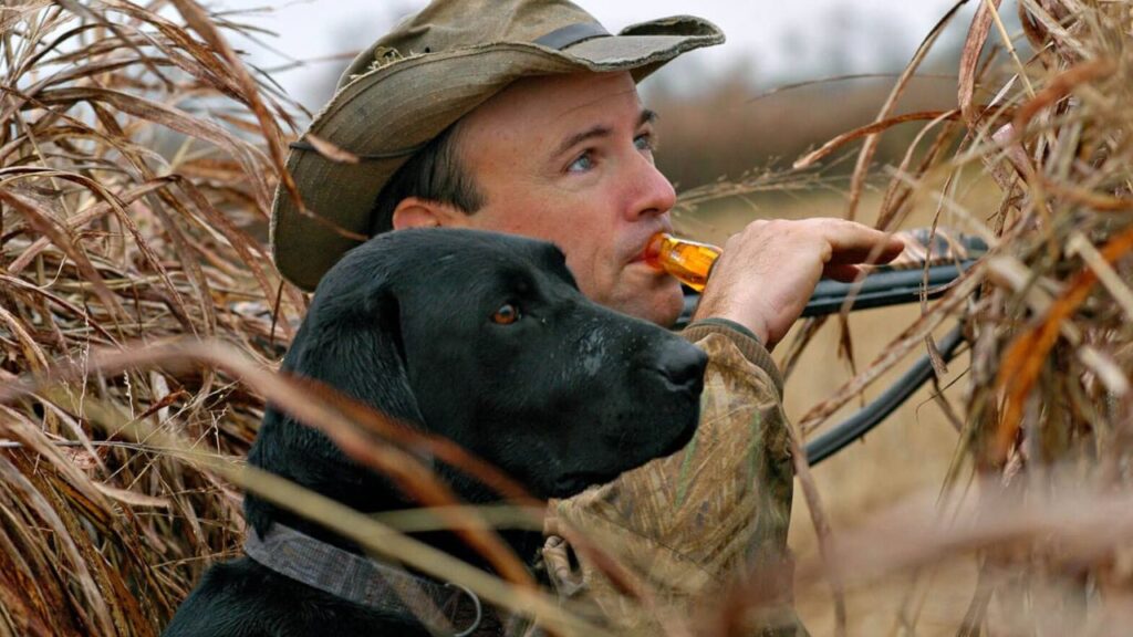 Best Duck Calls for Successful Hunting