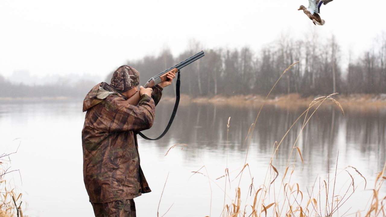 Budget-Friendly Options for Hunters