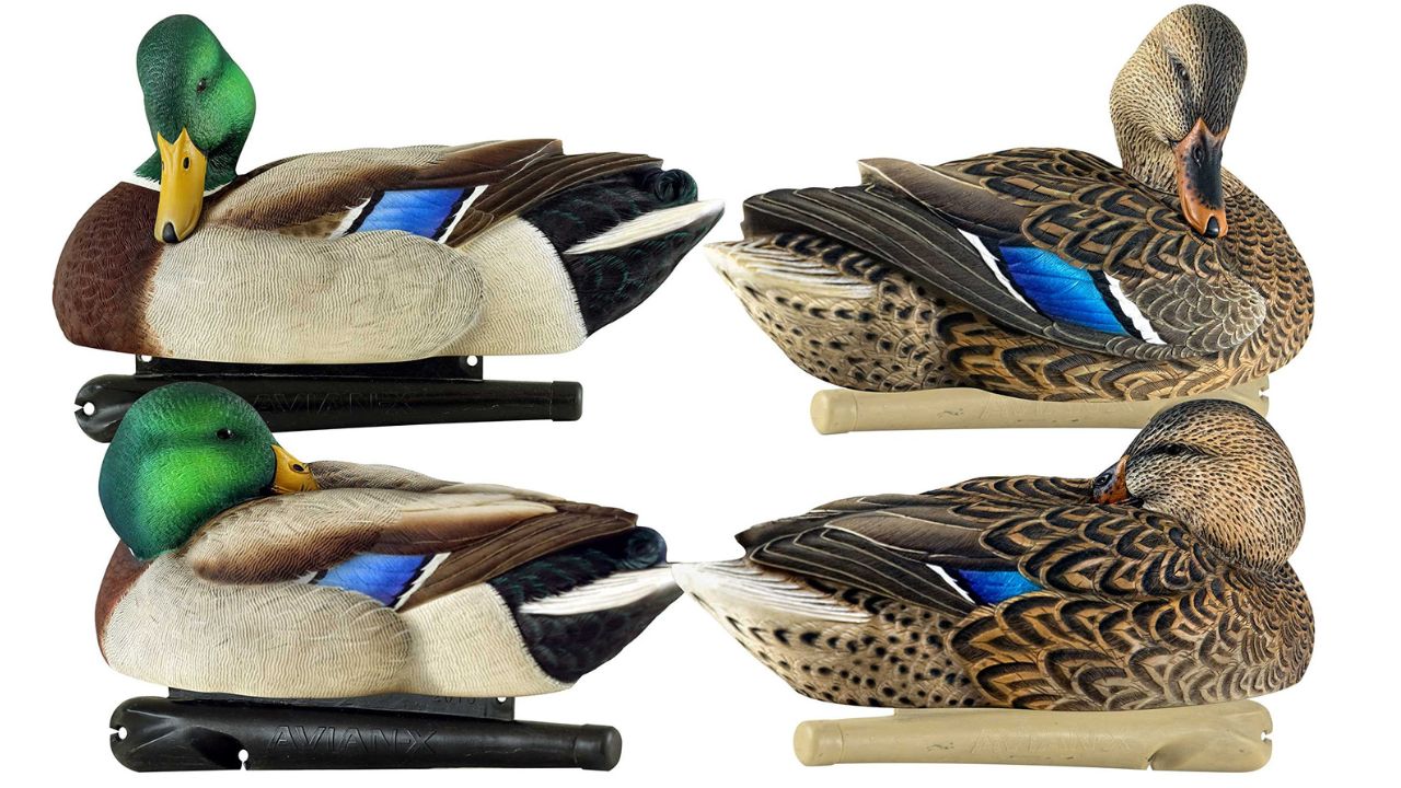 Choosing the Right Avian X Wood Duck Decoys