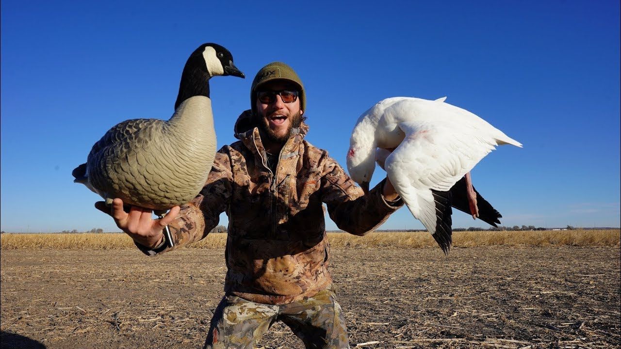 Factors to Consider in Decoy Selection