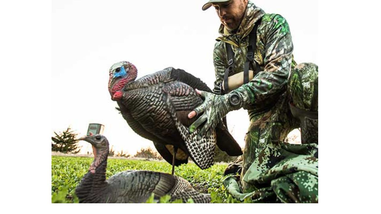 The Science Behind Dave Smith Decoys