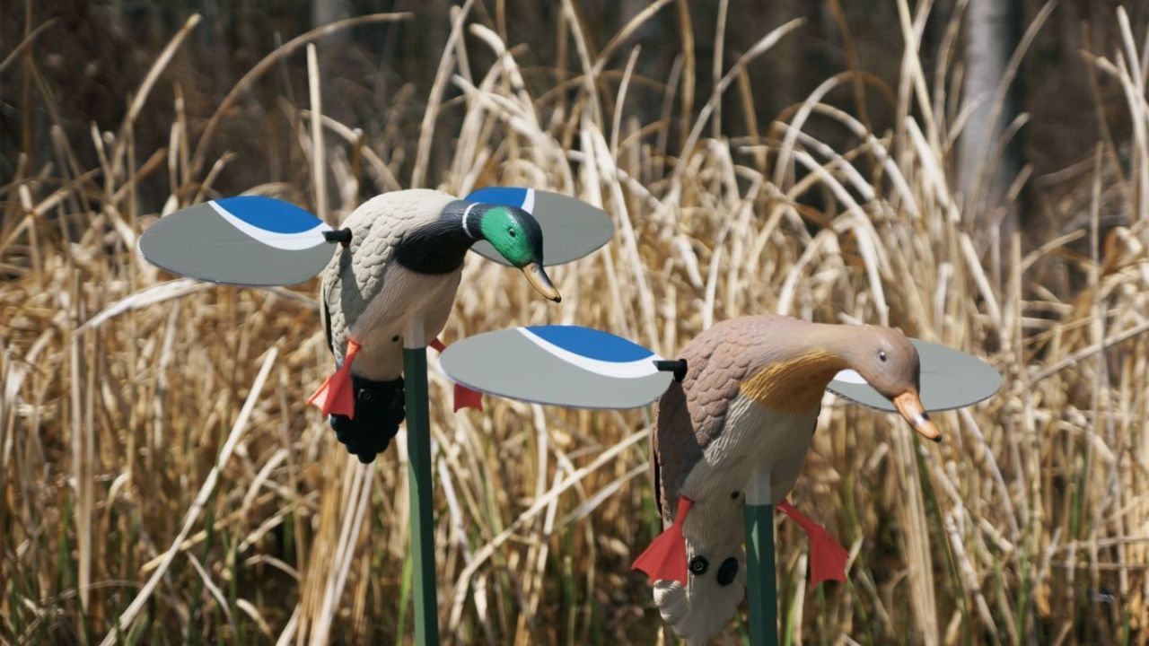 Tips for Using Motion Decoys Effectively