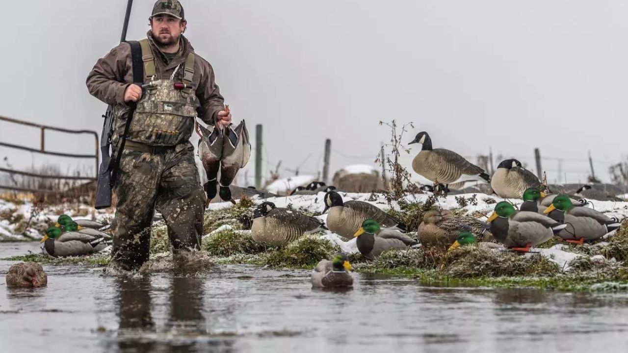 north dakota duck hunting reports