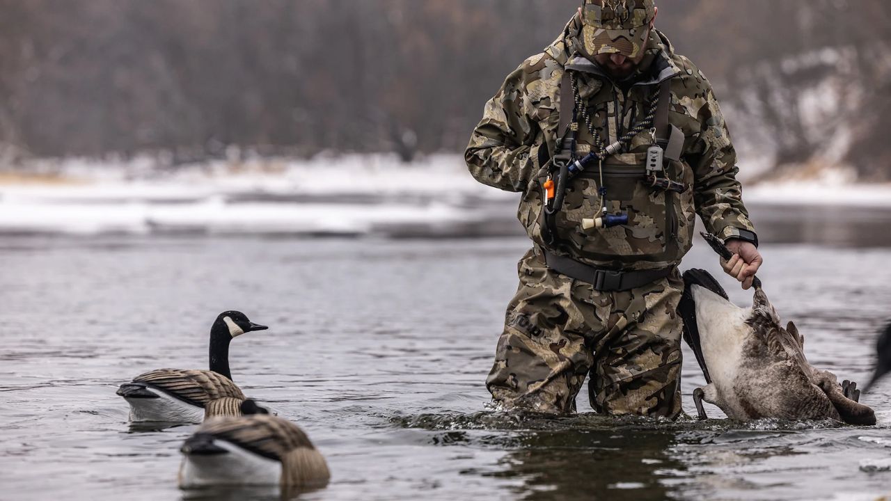 duck hunter net refuge 