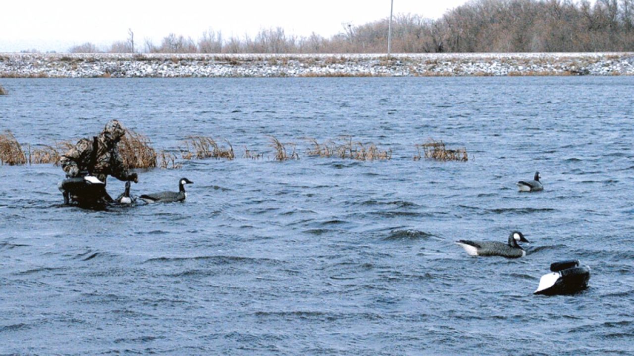 duck hunter net refuge