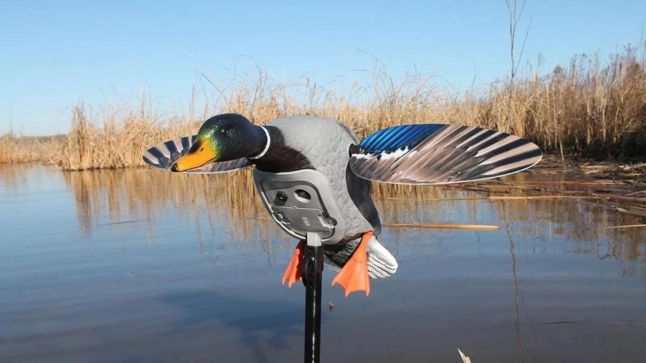 What Are the Best Spinning Wing Duck Designs
