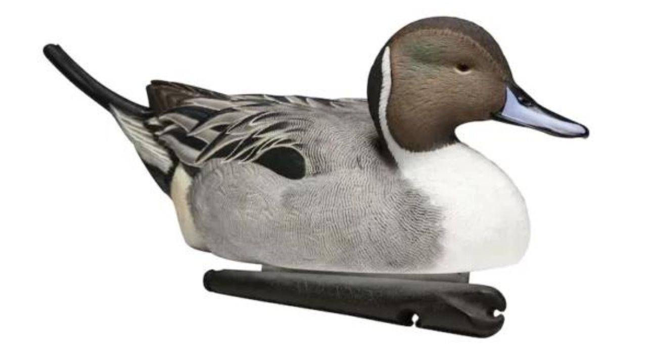 Where to Buy Avian X Wood Duck Decoys