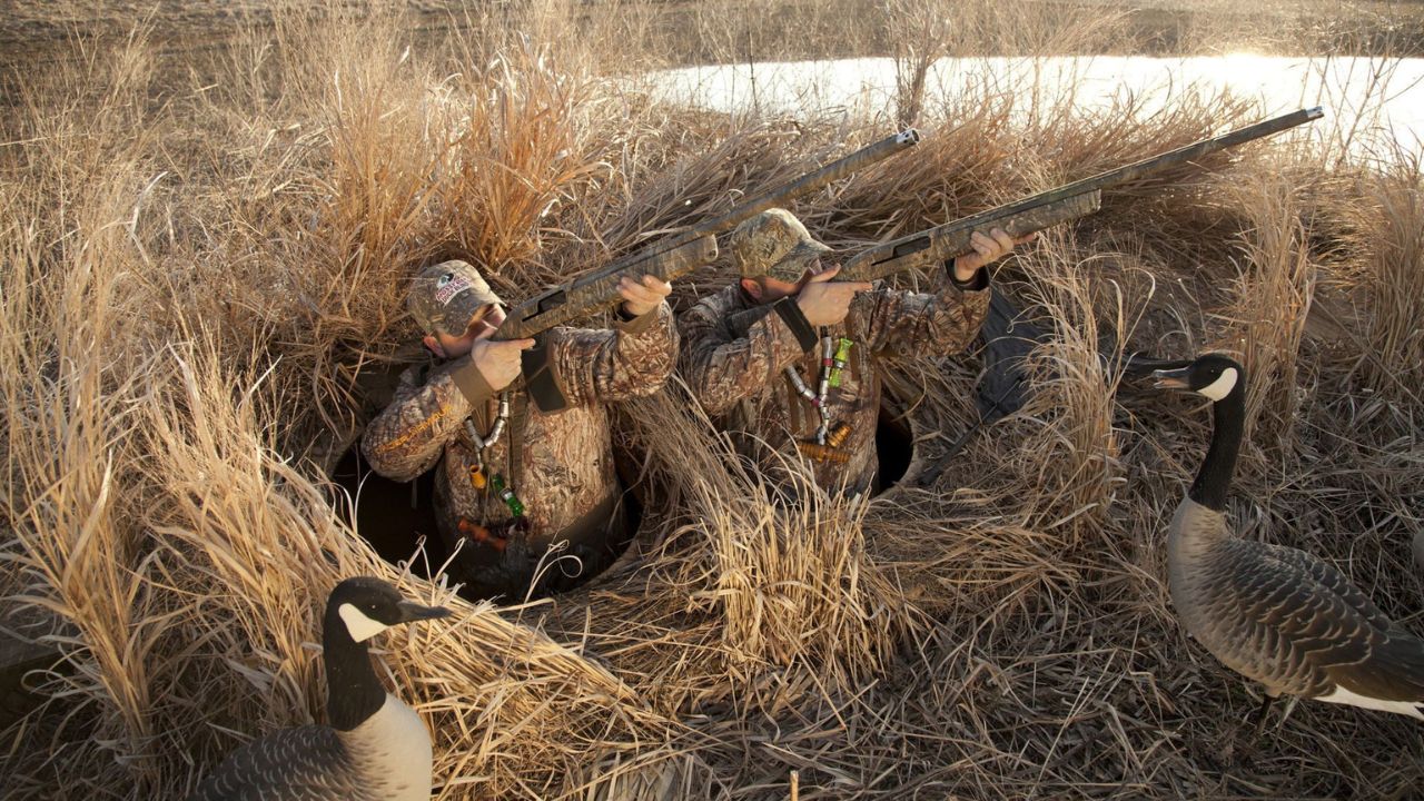 Adapting to Changing Conditions in Duck Hunting