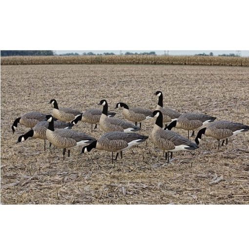 axf outfitter flocked lesser 12 pack with 12-slot decoy bag