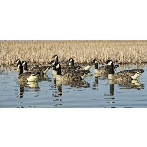 avian-x topflight honker floaters goose decoys