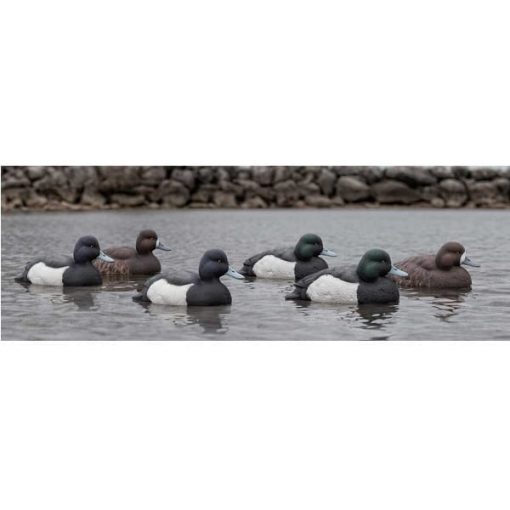 avian-x topflight floating bluebill duck decoys 6 pack