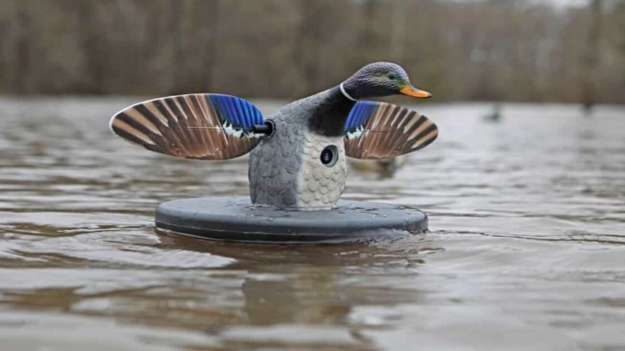 Best Motion Decoys For Ducks Late Season