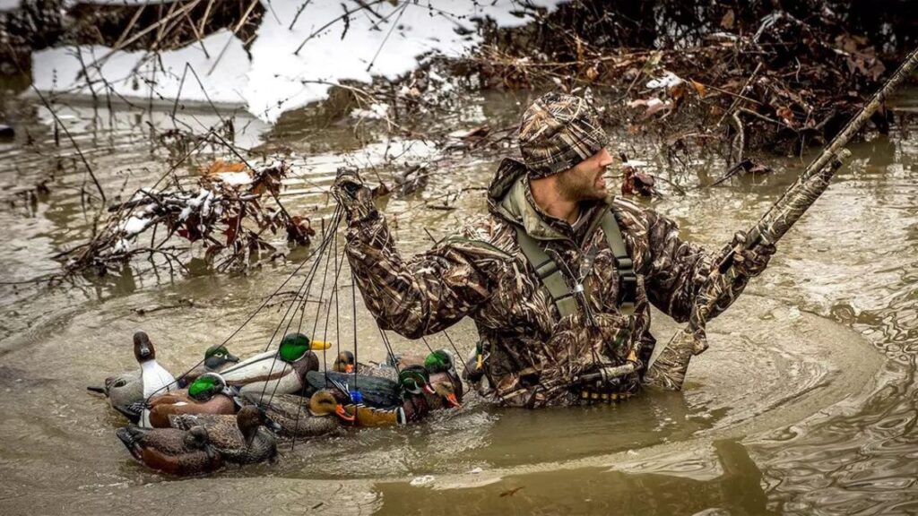 duck hunting in maryland guides