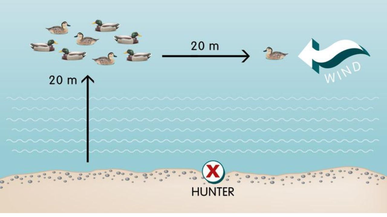 Best Wind Direction for Duck Hunting