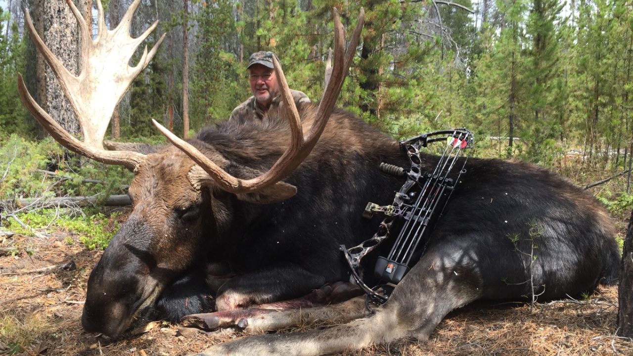 British Columbia Moose Hunting Guides